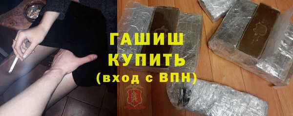 хмурый Алексин