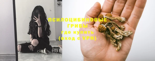 хмурый Алексин
